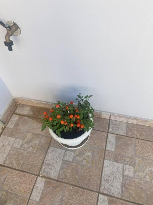 New Lovely Apartment In Heraklion Bagian luar foto