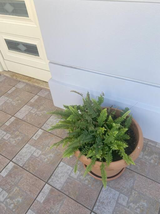 New Lovely Apartment In Heraklion Bagian luar foto