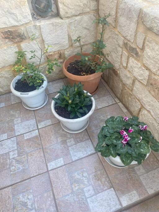 New Lovely Apartment In Heraklion Bagian luar foto
